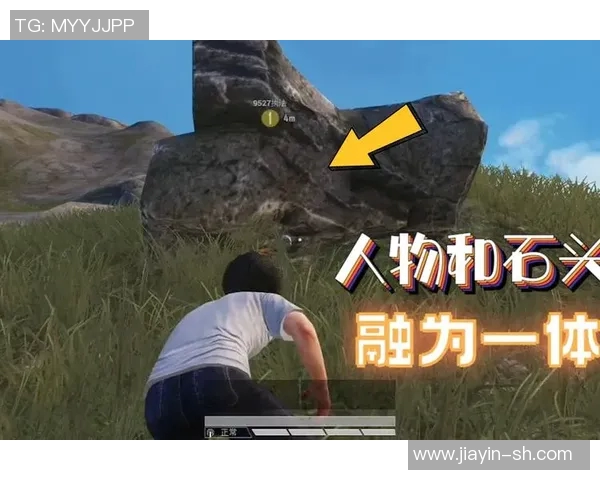 和平精英赛事中LNG团队协作的成功秘诀与战术解析